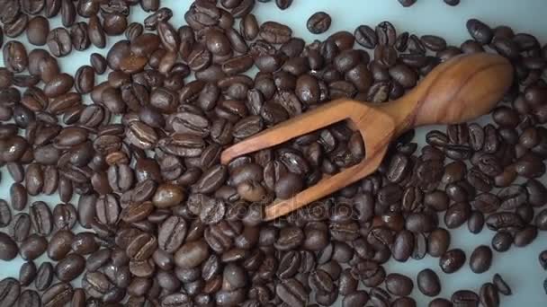 Kaffeebohnen und Olivenholz Schaufel auf weißem Hintergrund - Filmmaterial, Video