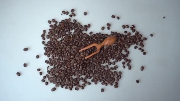 Coffee beans and olive wood scoop on white background - Filmagem, Vídeo