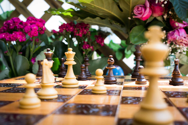 Шахи, сфотографовані на шаховій дошці
 - Фото, зображення