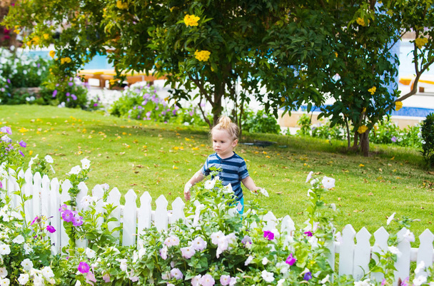 small boy child outdoor near white wooden fence - Foto, Imagem