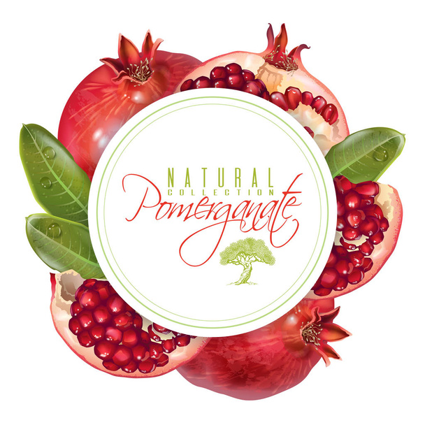 Pomegranate round banner - Vektor, obrázek