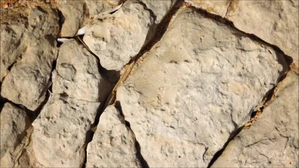 Stone texture in the garden - Footage, Video