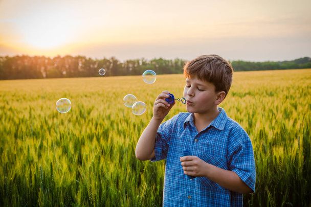serene boy blowing up the soap bubbles on field at sunset - Foto, immagini