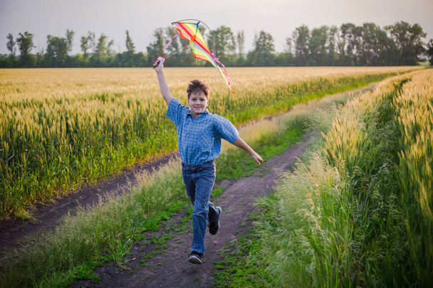 Boy playing with colorful kite on wheat field - Zdjęcie, obraz