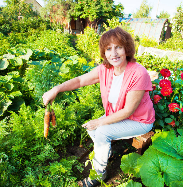 Woman grows harvest in the garden - Foto, Imagem