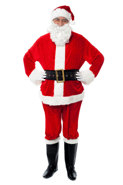 Cheerful Santa Claus posing with hands on waist - Photo, Image