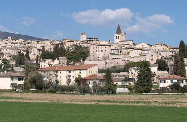 Włochy, Panorama miasta Spello - Zdjęcie, obraz