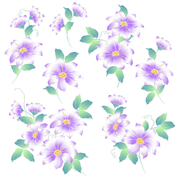 Japanese style Clematis, - Vector, Image