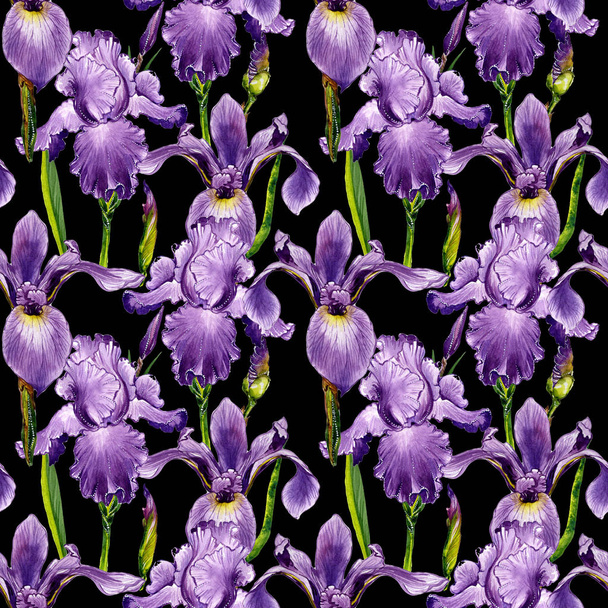 Wildflower iris flower pattern in a watercolor style isolated. - Photo, Image