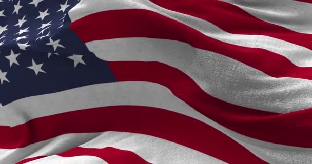 USA vlag waait in de wind - Video
