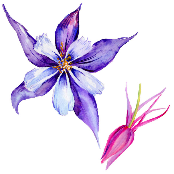 Wildflower exotic flower in a watercolor style isolated. - Foto, Imagem