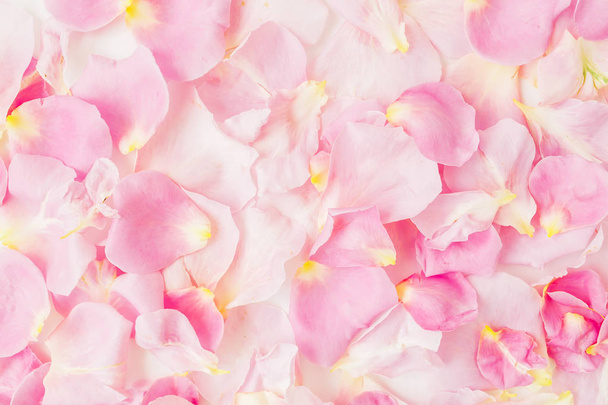 優しいピンクの花びらの背景 - 写真・画像