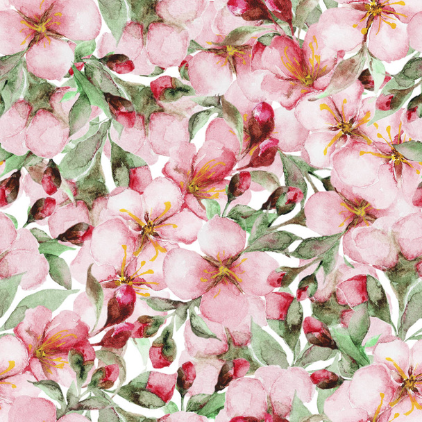 pattern of watercolor sakura flowers - Photo, Image