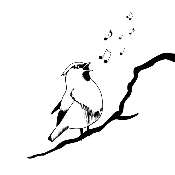  bonito passarinho canta com seu bico e notas de mosca, ilustração vetorial, vetor, logotipo, sinal
 - Vetor, Imagem