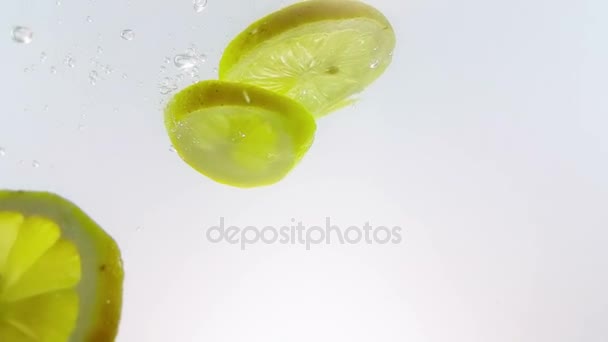 lemon slice fruit splash falling down into white alcohol cocktail and water drinking glass, shot in slow motion on white background, fun, nutrition and drink  - Video, Çekim