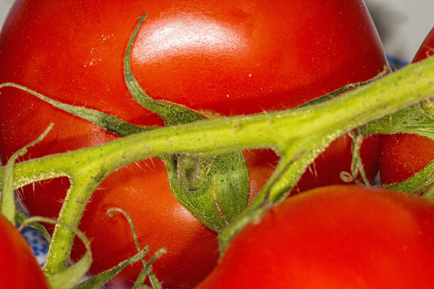 помидор с зеленым
 - Фото, изображение