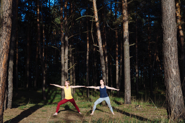 zwei meditierende Mädchen praktizieren Yoga-Fitness-Übungen bei Sonnenuntergang im Wald. - Foto, Bild