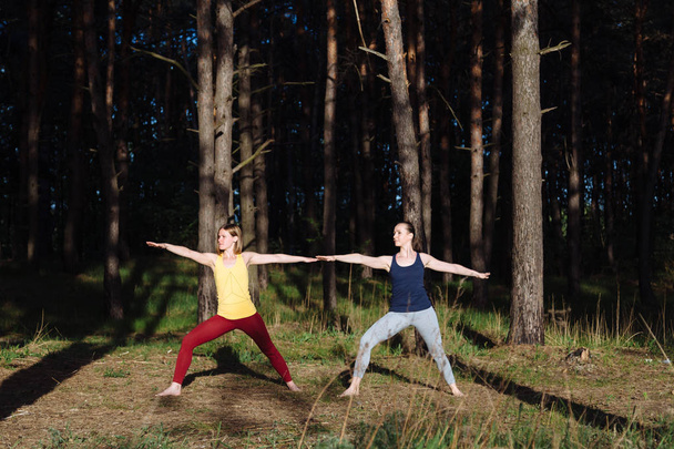 Dvě dívky meditaci praktikující jógu fitness cvičení při západu slunce v lese. - Fotografie, Obrázek