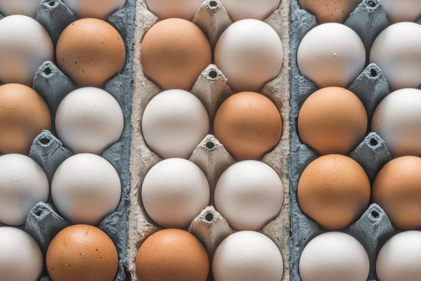 Huevos de pollo en la bandeja de huevos
 - Foto, Imagen