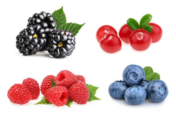 美しい果実 (ブラックベリー、クランベリー、ラズベリーのセット - 写真・画像