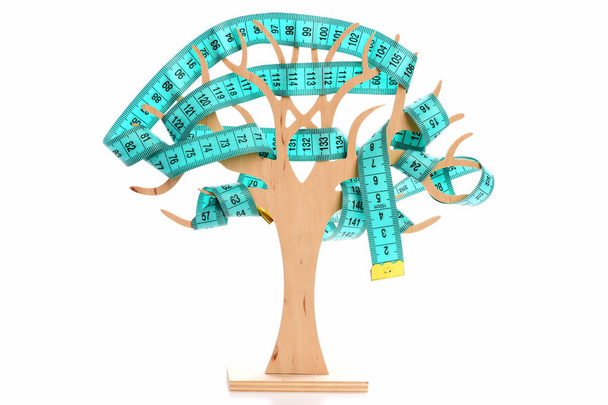 Tape for measuring on branches of decorative wooden tree - Photo, Image
