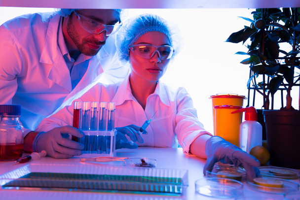 Wetenschappers tijdens de werkzaamheden op het laboratorium  - Foto, afbeelding