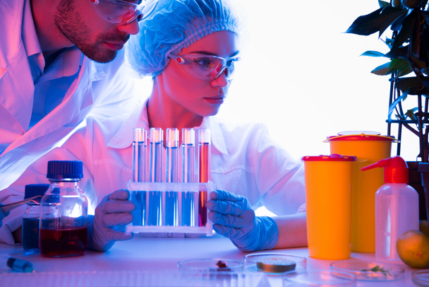 Cientistas durante o trabalho em laboratório
  - Foto, Imagem