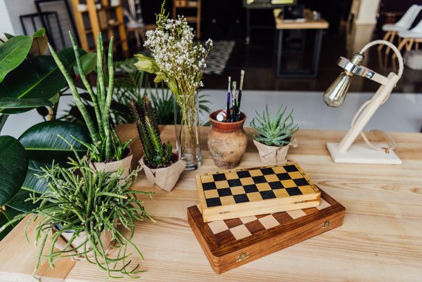 green plants in pots with chess boards  - Photo, Image