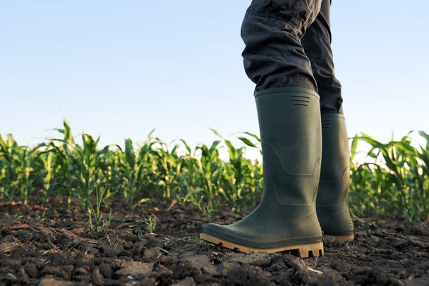 Farmer in rubber boots standing in corn field - Foto, imagen