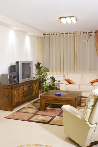Living room - Foto, Bild