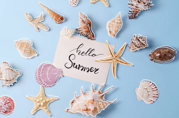 Creative layout made of different colorful seashells and greeting card with Hello Summer Lettering - Foto, Bild