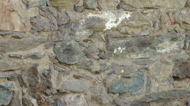 Old stone wall with an irregular pattern - Footage, Video