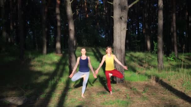 瞑想練習ヨガ ・ フィットネス 2 人の女の子は森林の日没でエクササイズします。スローモーション ステディカム ショット. - 映像、動画