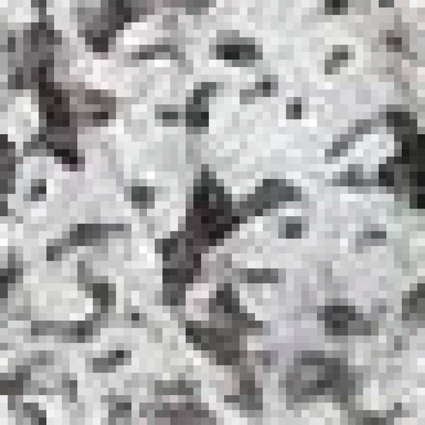 Seamless pattern of digital camouflage in gray tones. Vector illustration. - Vector, Image