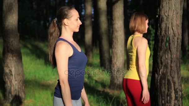 Две девушки медитируют, практикуя упражнения йоги на закате в лесу. Медленное движение, устойчивый снимок
. - Кадры, видео