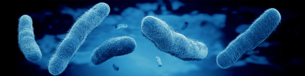 bactérias microscópicas
 - Foto, Imagem