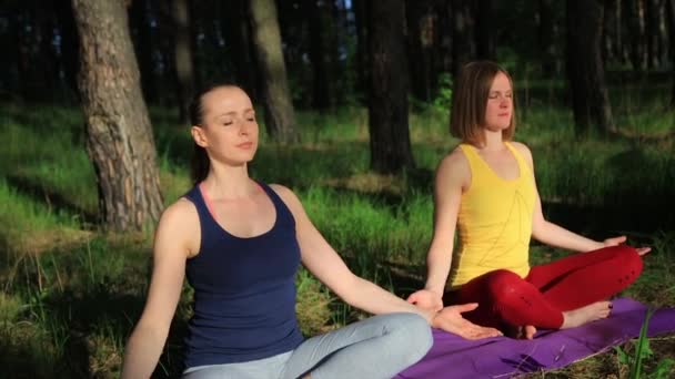 Dvě dívky meditaci praktikující jógu fitness cvičení při západu slunce v lese. Steadicam zpomalený záběr. - Záběry, video
