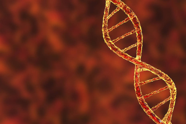 Hélice dupla de DNA
 - Foto, Imagem