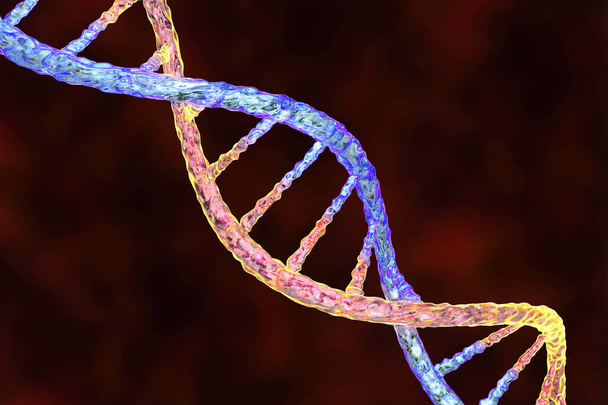 double helix DNA - Foto, afbeelding
