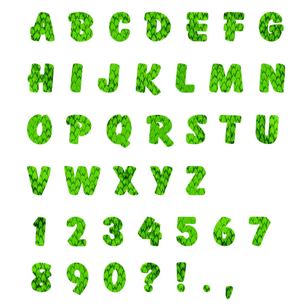 Αγγλικό αλφάβητο και χαρακτήρων φτιαγμένων από πράσινα φύλλα που απομονώνονται σε λευκό φόντο. Αρχική γραμματοσειρά για το κείμενο  - Φωτογραφία, εικόνα