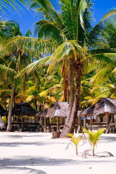 Landscape of paradise tropical island with palms, cottages and white sand beach - Valokuva, kuva