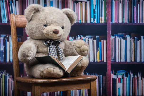 Stuffed teddy bear holding a book in front of a bookshelf - Photo, Image