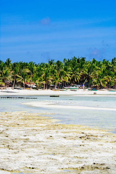Incredibile spiaggia tropicale di sabbia bianca
  - Foto, immagini