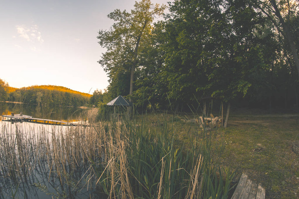 Вечерний летний пейзаж на пруду на закате дня
. - Фото, изображение