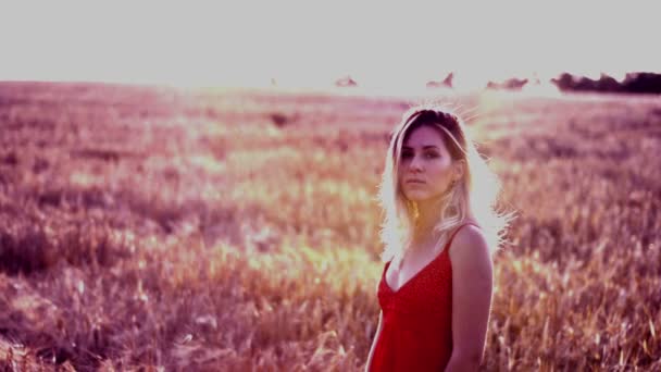 Krásná blondýnka v červených šatech, na obilné pole při západu slunce - Záběry, video