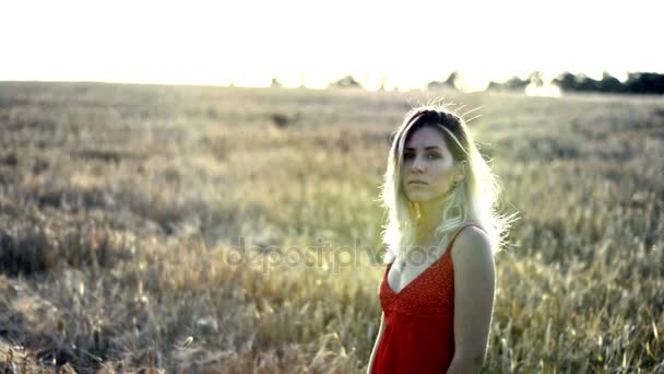 Beautiful blond woman in a red dress, on a wheat field at sunset - Footage, Video