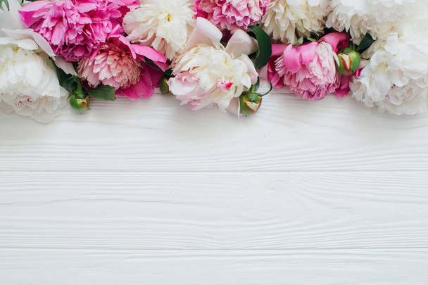 weiße und rosa Pfingstrosenblüten - Foto, Bild