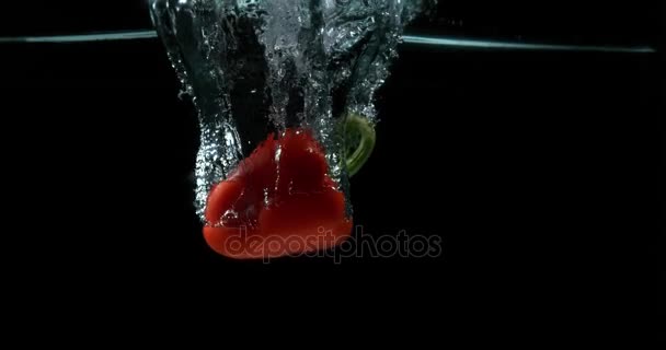 Rode paprika, capsicum annuum, plantaardige vallen in Water tegen zwarte achtergrond, Slowmotion 4k - Video