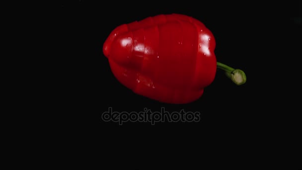 Red Sweet Pepper - Πλάνα, βίντεο