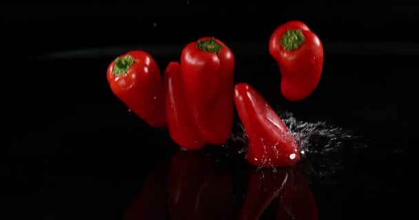 Red Sweet Peppers, capsicum annuum, Vegetable falling on Water against Black Background, Slow motion 4K - Video